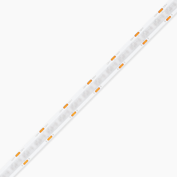 COB 252
